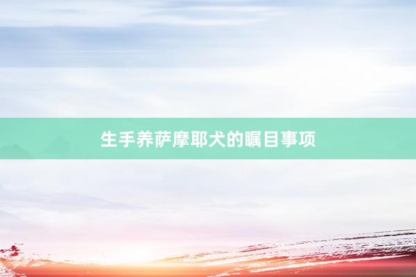 生手养萨摩耶犬的瞩目事项